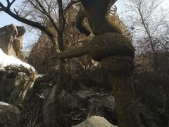 -秦岭终南山世界地质公园翠华山景区