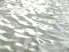 -碑林公园
