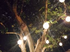 -Ginger(兴国路店)