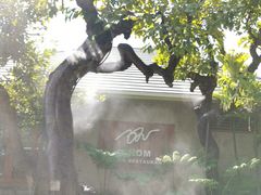 -Chom Cafe and Restaurant