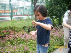 -上海昆虫博物馆