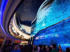 -迪拜水族馆及水下动物园