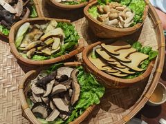 -滇野云南野生菌餐厅(陕西南路店)