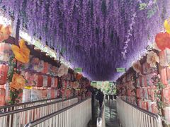 -常德桃花源景区