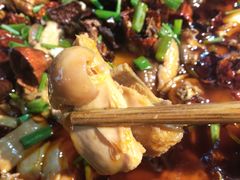 鸡肉-一只烧鸡公(解放碑店)