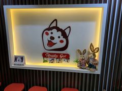 -Husky Go! 哈士奇体验馆·宠物咖啡厅狗咖