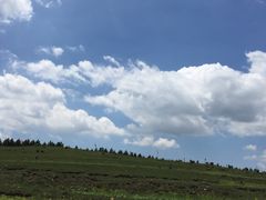 -草原天路(张北县)