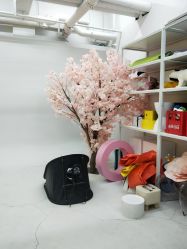 -布格专业孕妇摄影(长春旗舰店)