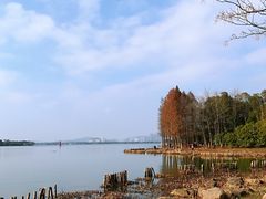 -长广溪湿地公园