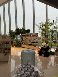 -IMON·HANSA潮玩玩偶毛绒玩具(通州万象汇店)