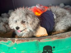 -锅炉咖啡·西餐·音乐酒厂