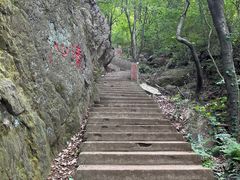 -惠山国家森林公园
