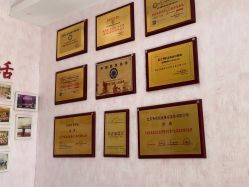 -香薇妮丝·定制减肥·身材管理