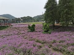 -广州市石门国家森林公园