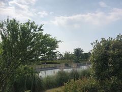 -江滩湿地公园