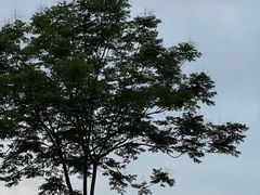 -杭州西湖风景名胜区-满觉陇四眼井