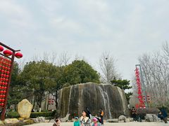 -合肥滨湖国家森林公园