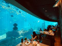 -海棠湾洲际-涛·海底餐厅·美人鱼·自助餐·海底隧道
