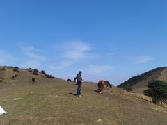 -大姆山草场
