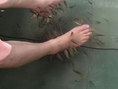 -天芳悦潭度假村温泉