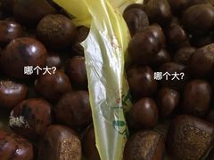 -好好栗子店(海宁总店)