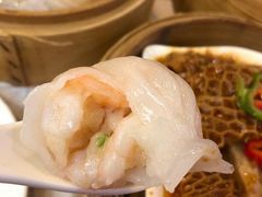 金牌虾饺皇-点都德(华强南店)