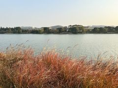 -羊山湖公园