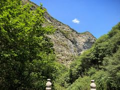 -少华山国家森林公园