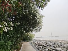 -上海吴淞炮台湾国家湿地公园