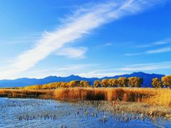 -野鸭湖国家湿地公园
