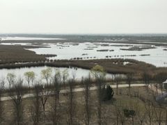 -南大港湿地风景区