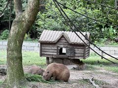 -上海野生动物园