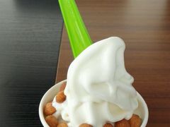 android_upload_pic-Salud撒露欧洲冻酸奶(北苑上品店)