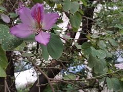-花苑里咖啡(威远店)