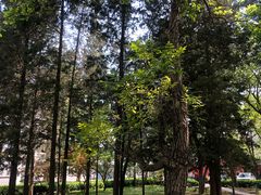 -杭州小笼包(地质大学店)