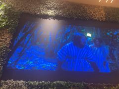 -浦乐汇·汤泉水世界