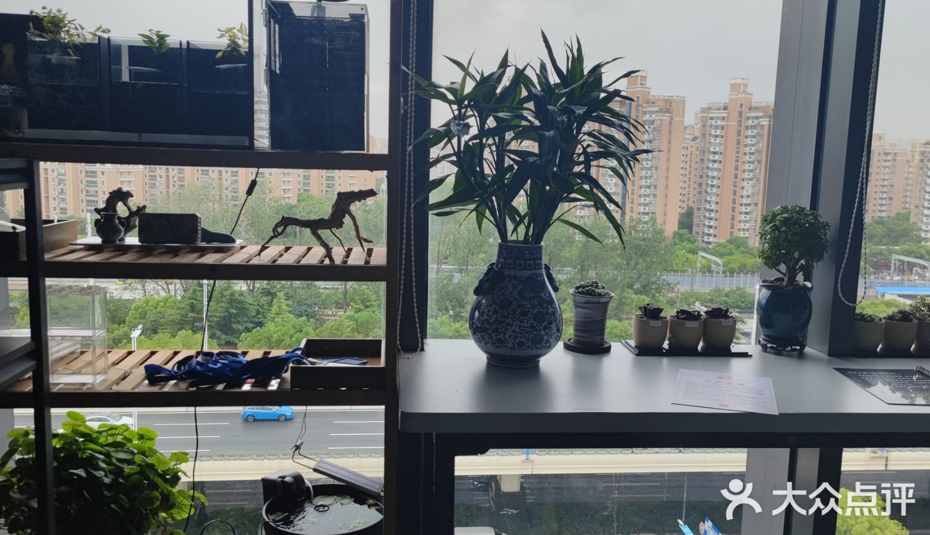 这是什么肉做的叉烧包