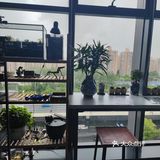 这是什么肉做的叉烧包