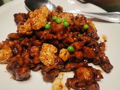 -金鼎轩(方庄天坛店)