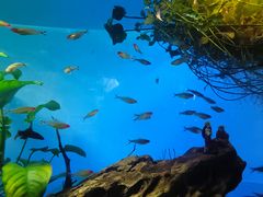 -太平洋海底世界