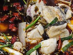 -乡土特色.冷锅鱼.牦牛肉汤锅