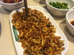 -爱膳菌锅锅(阳南店)