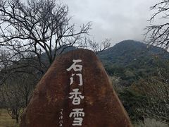 -广州市石门国家森林公园