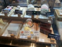 -VT101维多利广场