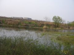 -新江湾城公园