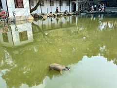 -西园戒幢律寺