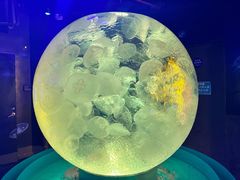 -正佳极地海洋世界