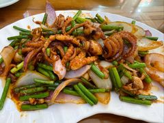 酱爆八爪鱼-金丝饭庄(金丝新天地保障性住宅小区店)