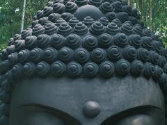 -杭州植物园