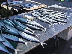 -南戴河海滨市场